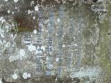 image of grave number 240886